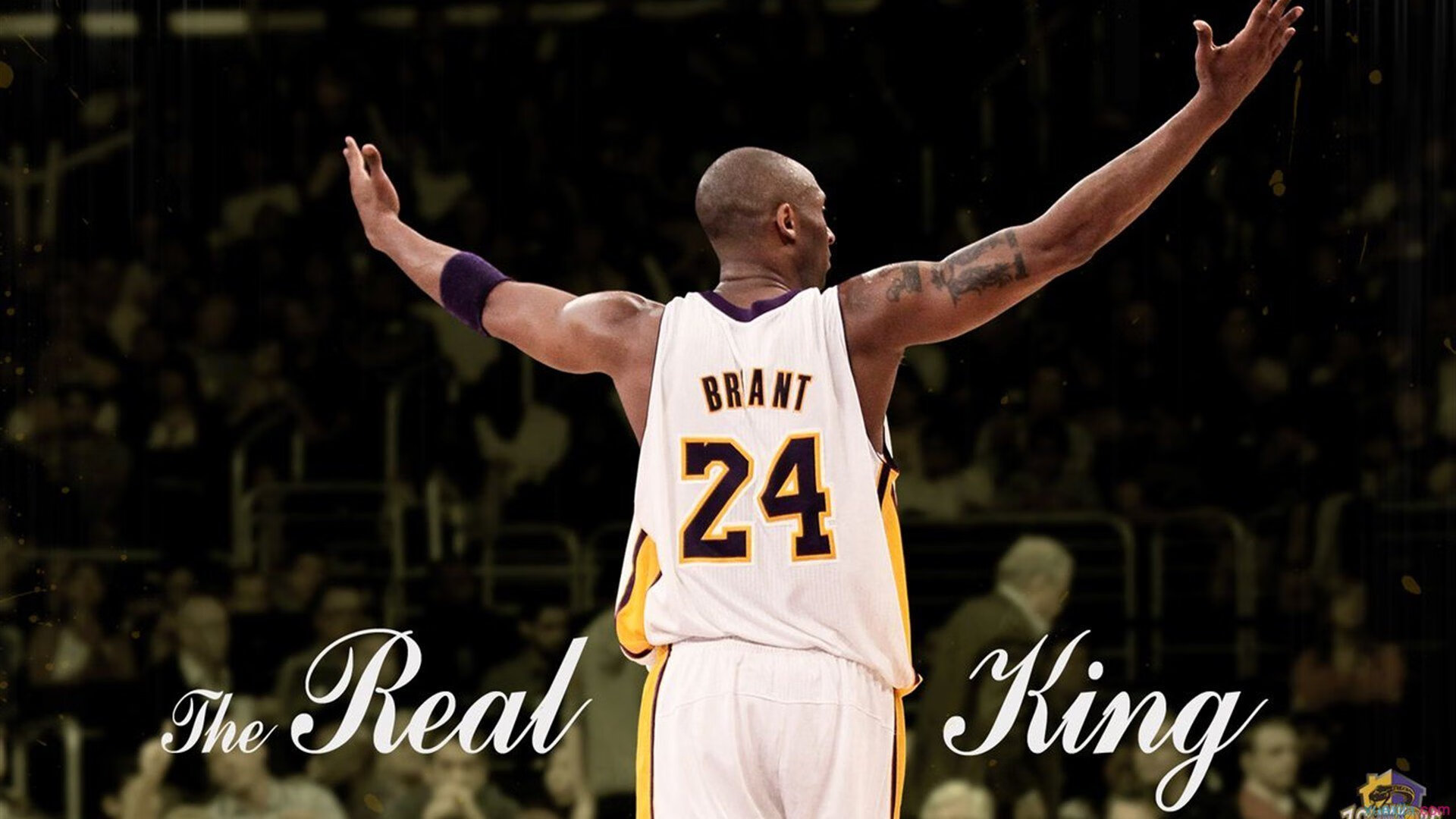 公牛队迎来历史性胜利,士气爆棚,公牛 队